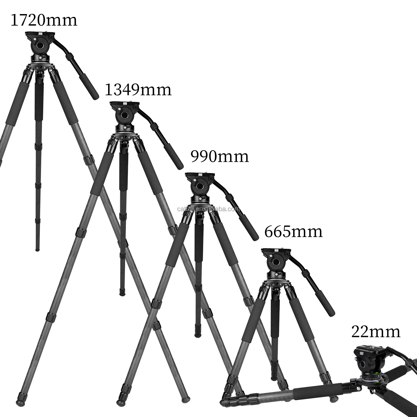 CatTail CT-3 Professionelles 4 – Outdoor Hunting Photography Bewertung und Preis